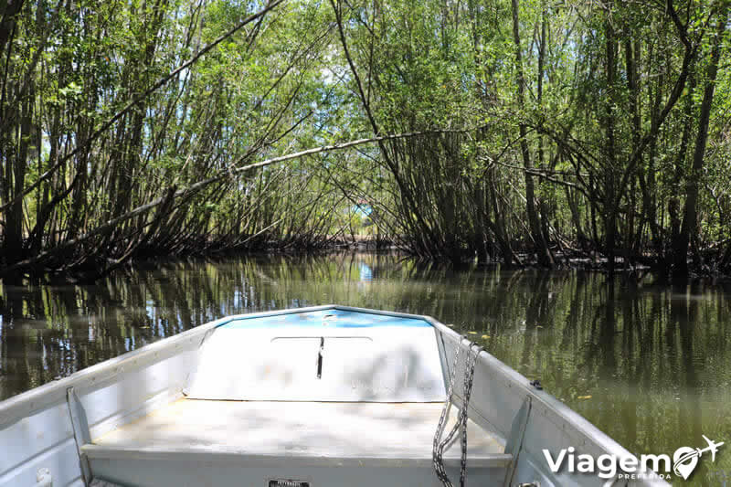 Passeio de Canoa no Rio De Contas